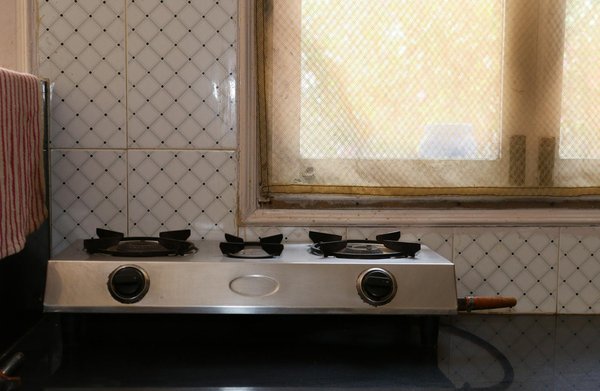 Créer un éden urbain : astuces révolutionnaires pour un jardin biodiversifié en ville